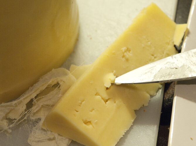 Hard Cheeses at Home, Plus 2 Soft Cheese Recipes